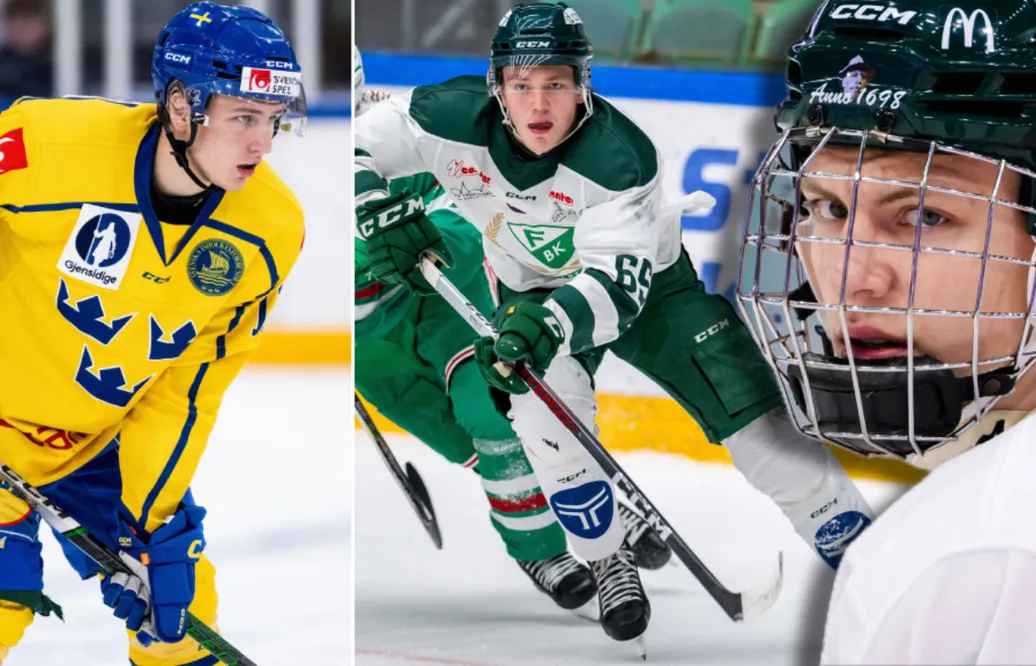Framtidens stjärnor — Färjestad J20: Kommentarer om ALLA spelare