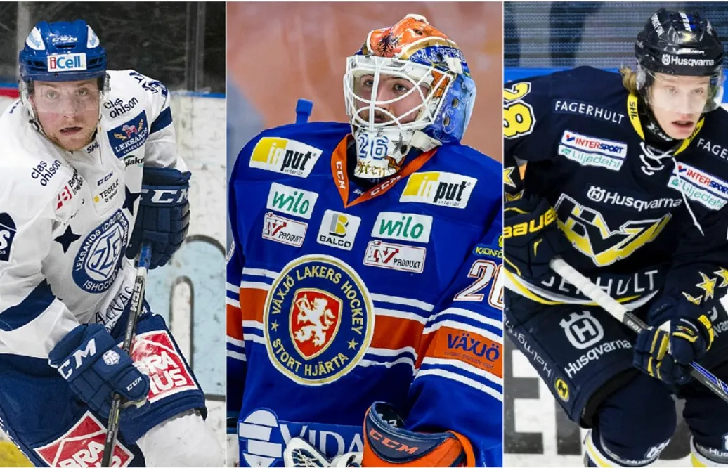 Elva svenskar på Stanley Cup-mästarnas utvecklingsläger