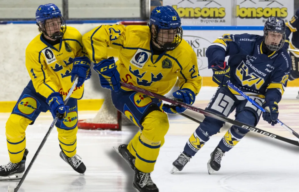 Framtidens stjärnor – HV71 J18: Kommentarer om ALLA spelare