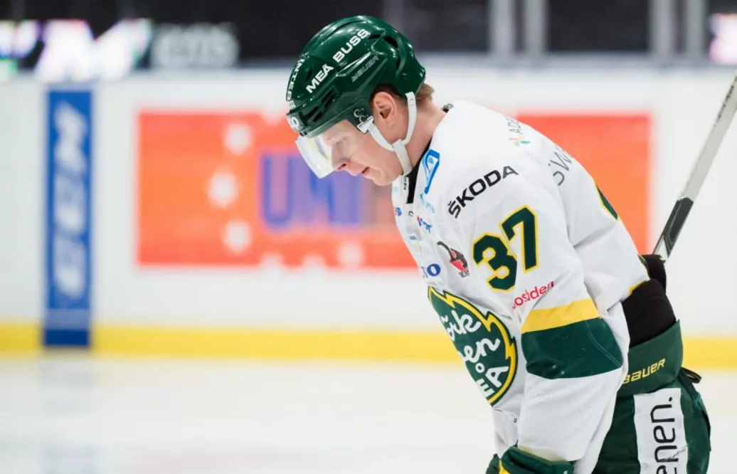 Björklöven finalförlorade mot finska ligaåttan