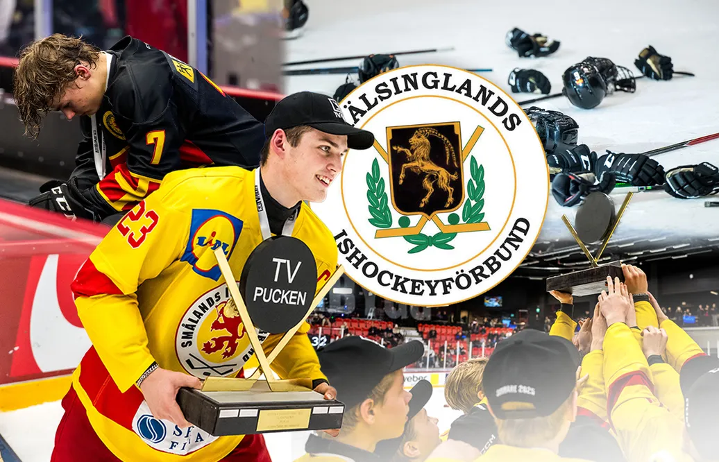 Hälsingland – kommentarer om ALLA spelare