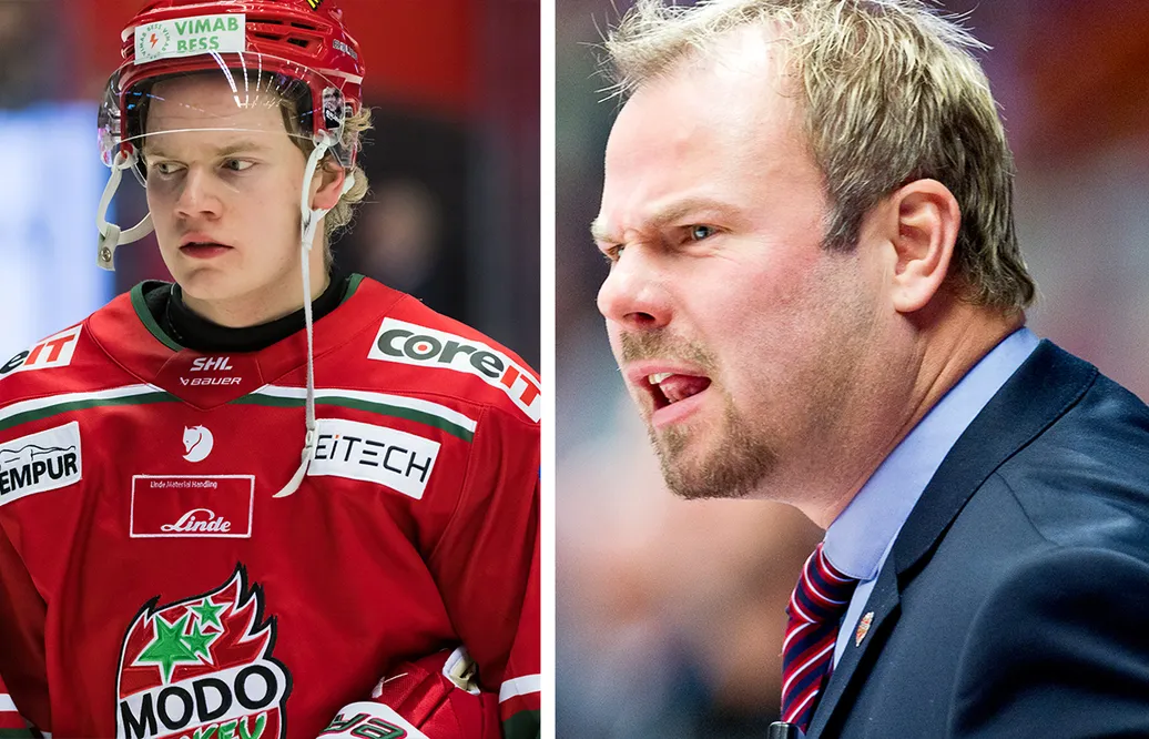Henrik Gradins svar efter Niederbach-domen: "Ute på hal is"