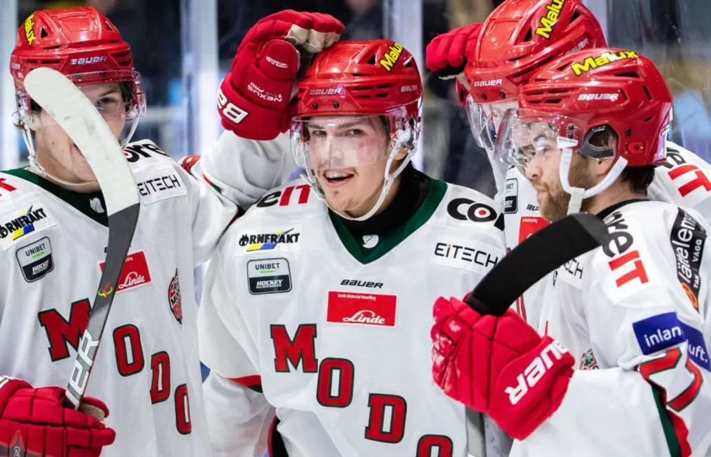 17,3 miljoner kronor till Hockeyallsvenskan – så mycket får varje klubb