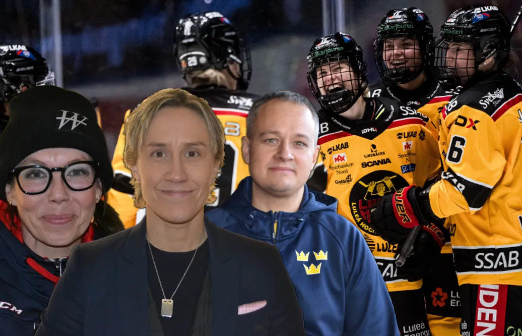 Hockeypanelen om importfrågan i SDHL: “Ligan måste hänga med i utvecklingen”