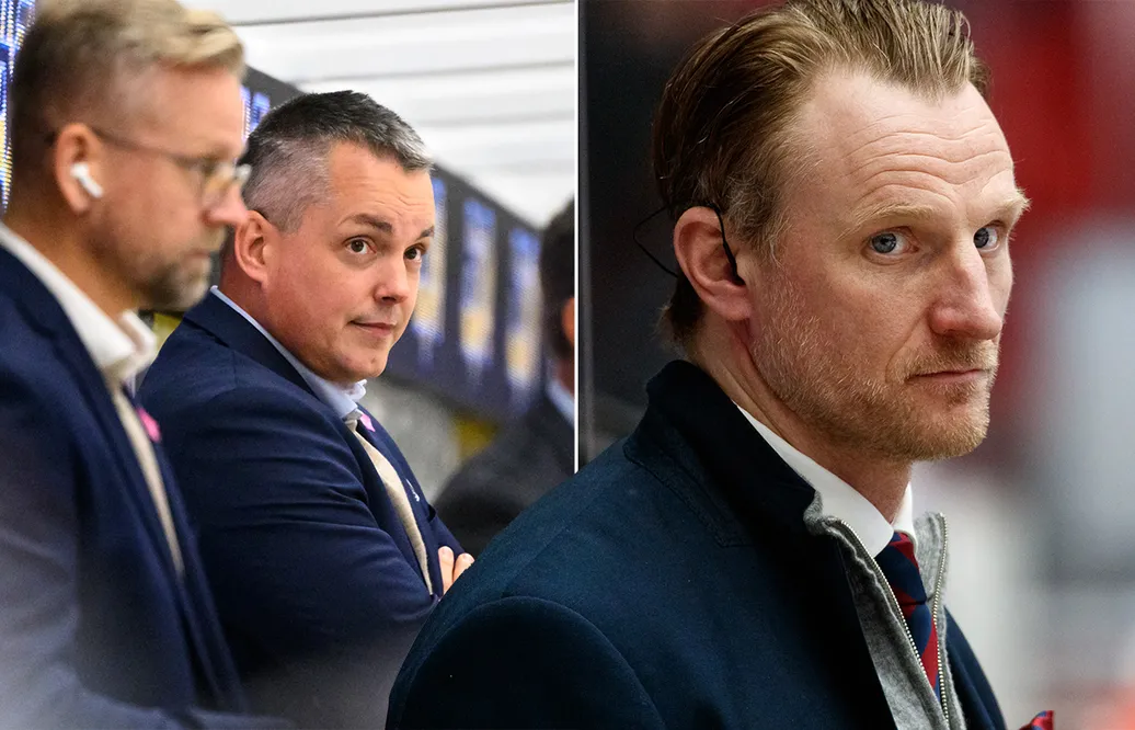 Experterna riktar hård kritik mot HV71