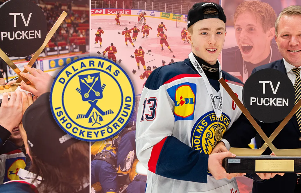 TV-pucken 2024: Dalarna – kommentarer om ALLA spelare