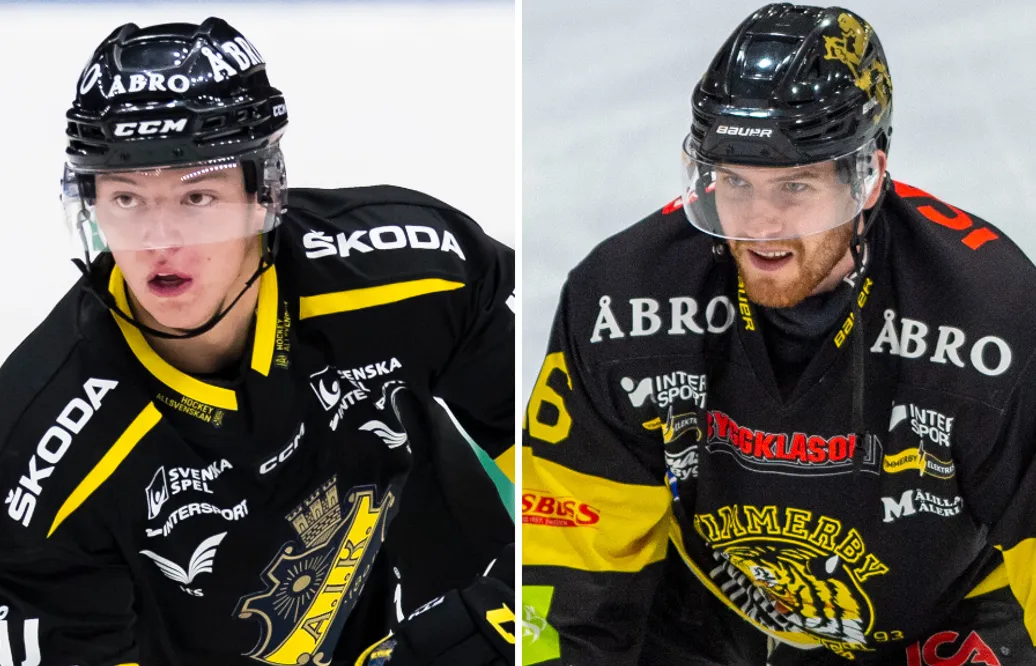Filip Bratt och Sebastian Vidmar skickas till ECHL