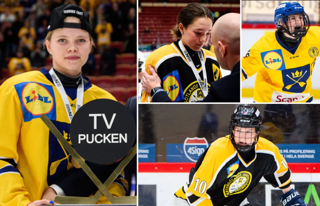 Jimmy Hamrin: TV-puckslutspelets tio mest lovande flickspelare