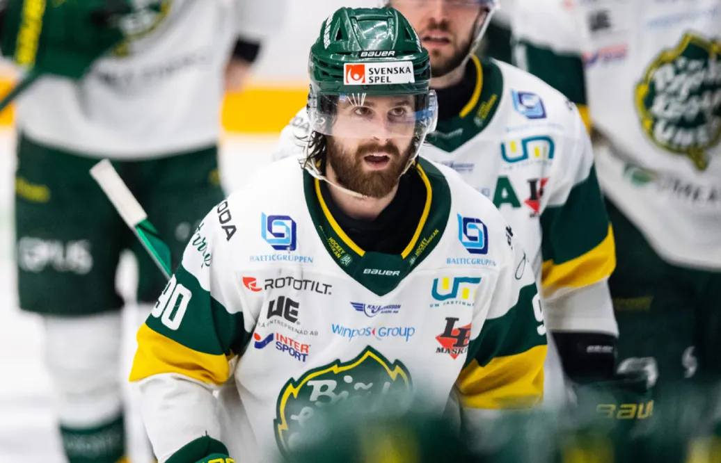 Alex Hutchings och Lukas Vejdemo riskerar avstängning