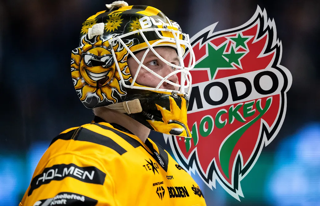 MoDo lånar SHL-målvakt: "Bra lösning"