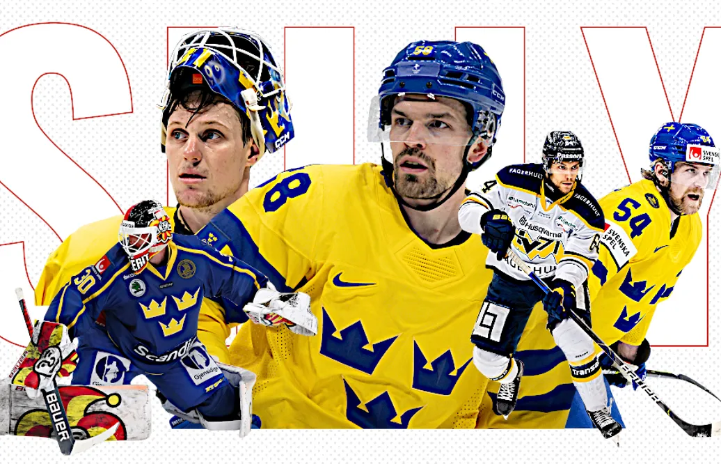 Sammanställning: Så har SHL-klubbarna värvat
