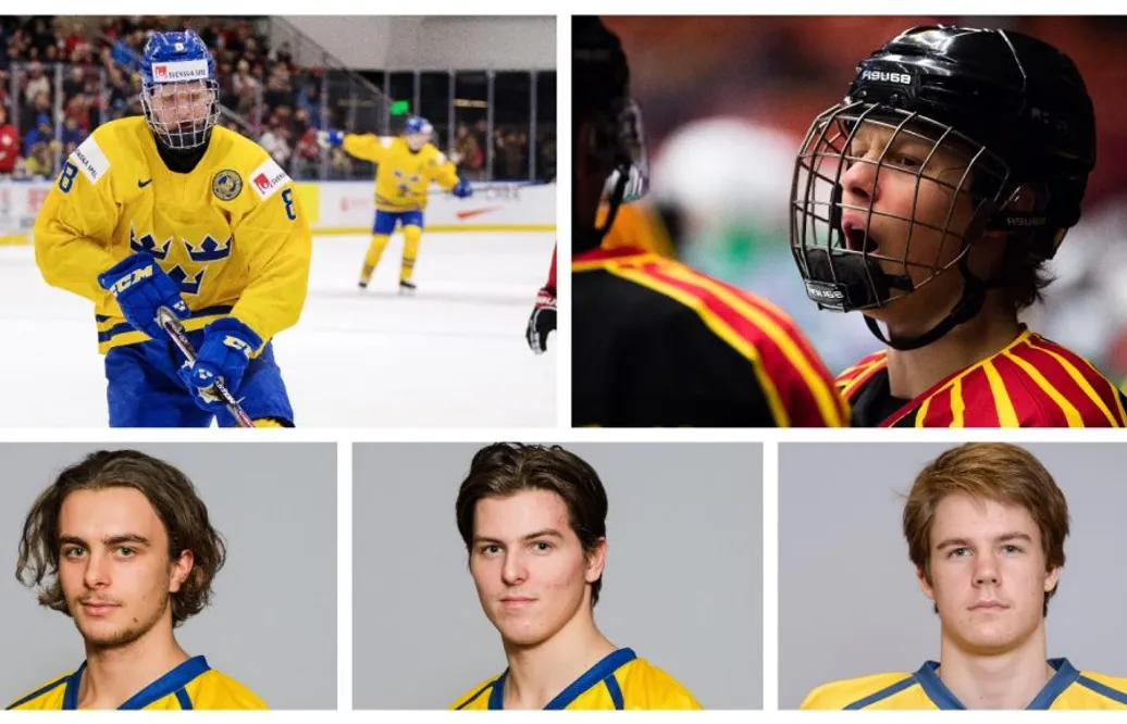 Draftgurun: ”Åtta svenskar i förstarundan”