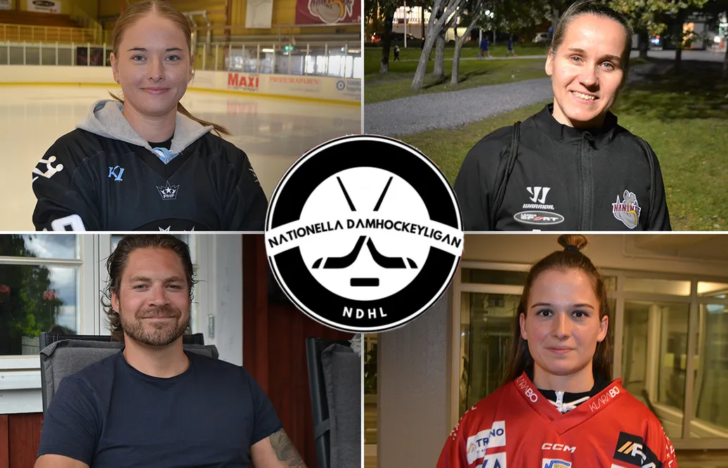 NDHL-tipset: De är favoriter att ta steget upp