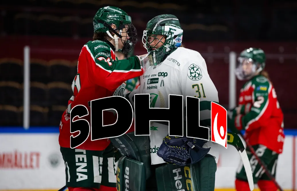 Så har SDHL-lagen agerat under silly season
