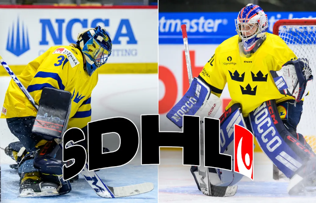 Ronnie Rönnkvist: Tio SDHL-klubbar - tio målvaktssituationer