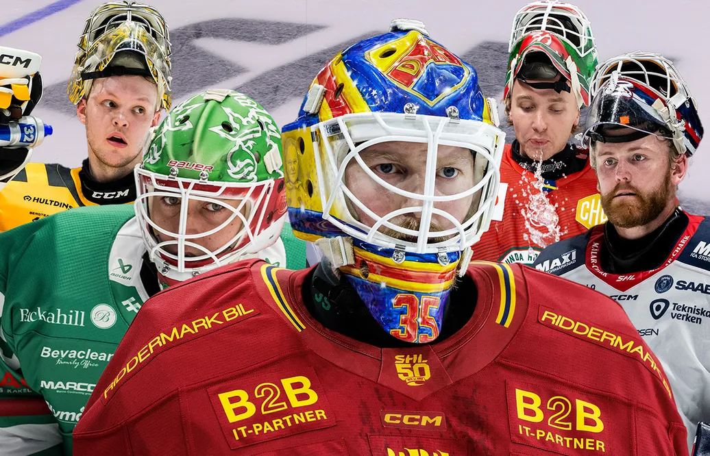 Hockeysverige.se har röstat fram SHL:s bästa målvakter.