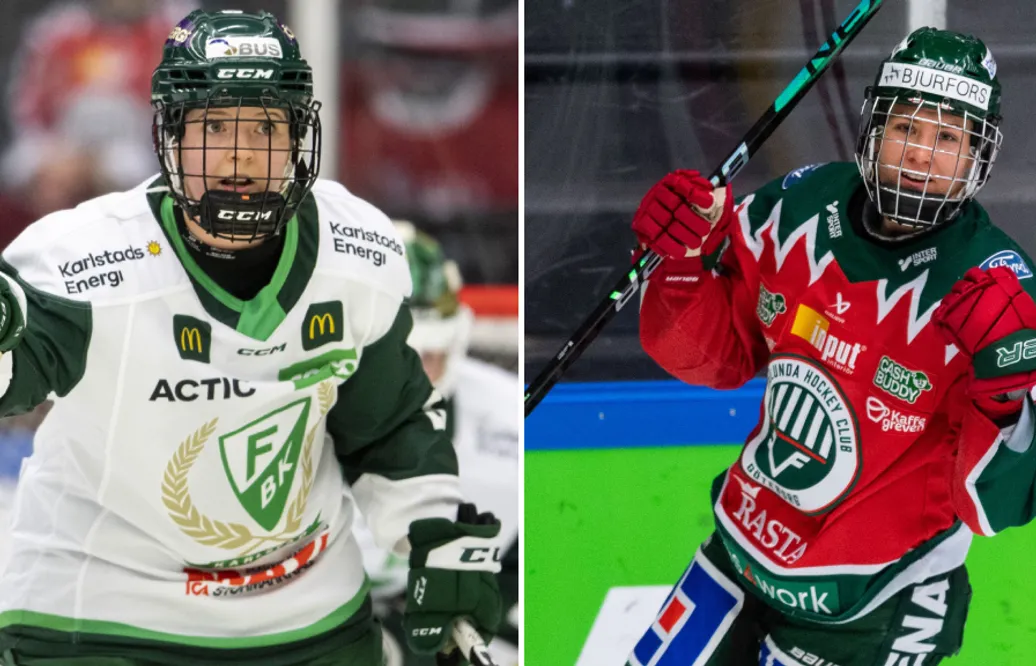Här är lagen som gör upp om en plats i SDHL