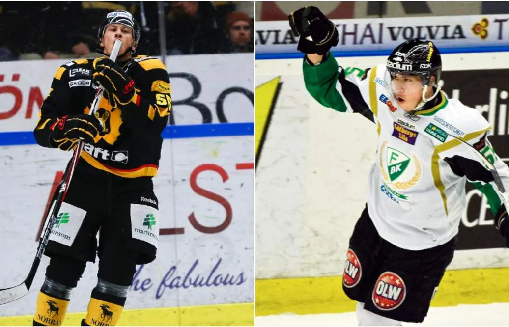 Martin Sevc slutar med ishockey