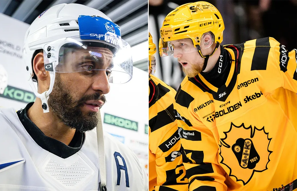 Skellefteå uppges behålla forwarden: "För en dialog"