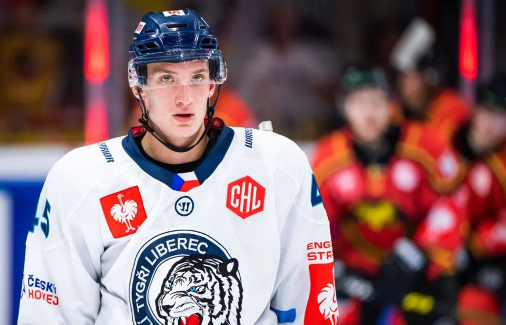 Tjeckisk doldis klar för SHL-spel: "En fantastisk möjlighet"