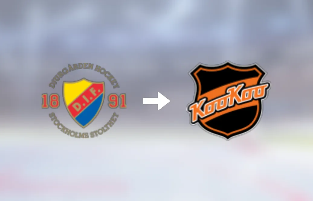 Tidigare Djurgården-spelaren klar för spel i Finland