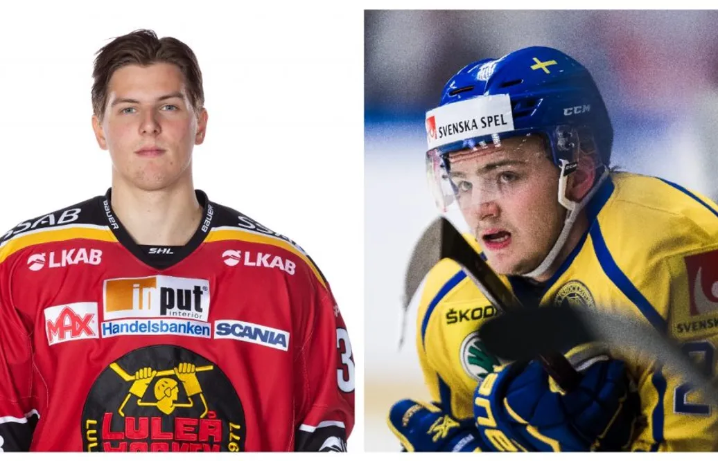 Svenskarna imponerade för sina NHL-lag