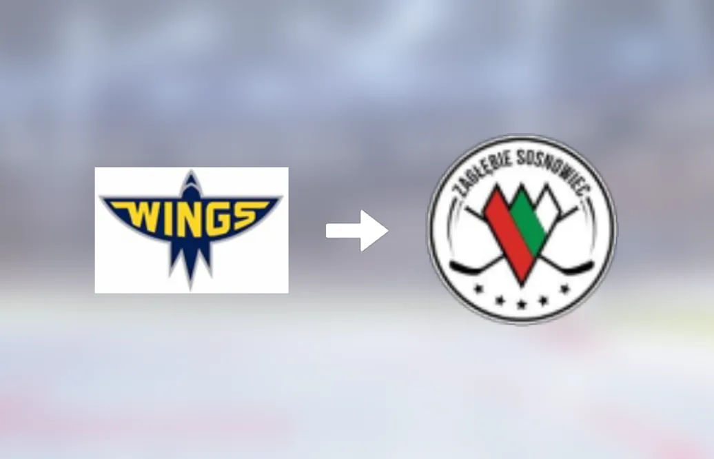 Forwarden Tim Friberg är nu klar för spel i Zaglebie Sosnowiec