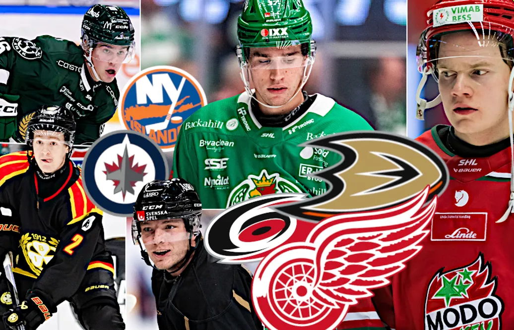 Rasmus Kågström: Svenskarna som kan släppas av NHL-klubbarna