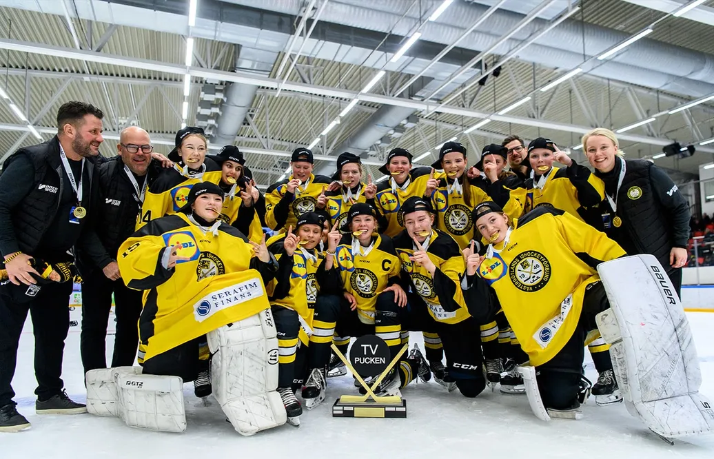 Västergötlands guldlag - kommentarer om alla spelare