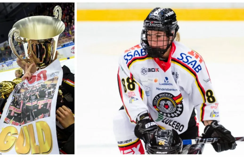 Segerviss inför andra finalmatchen: ”Linköping vet nog att det är svårt att komma till Luleå”