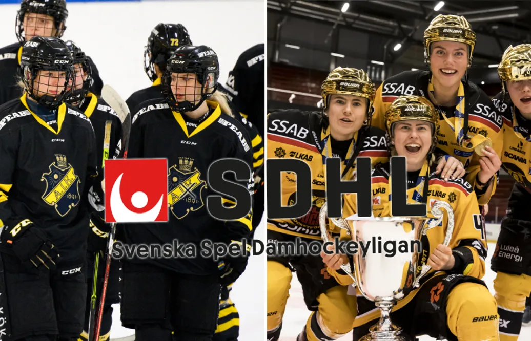 Få full koll på SDHL:s Silly Season – ranking av alla lagen
