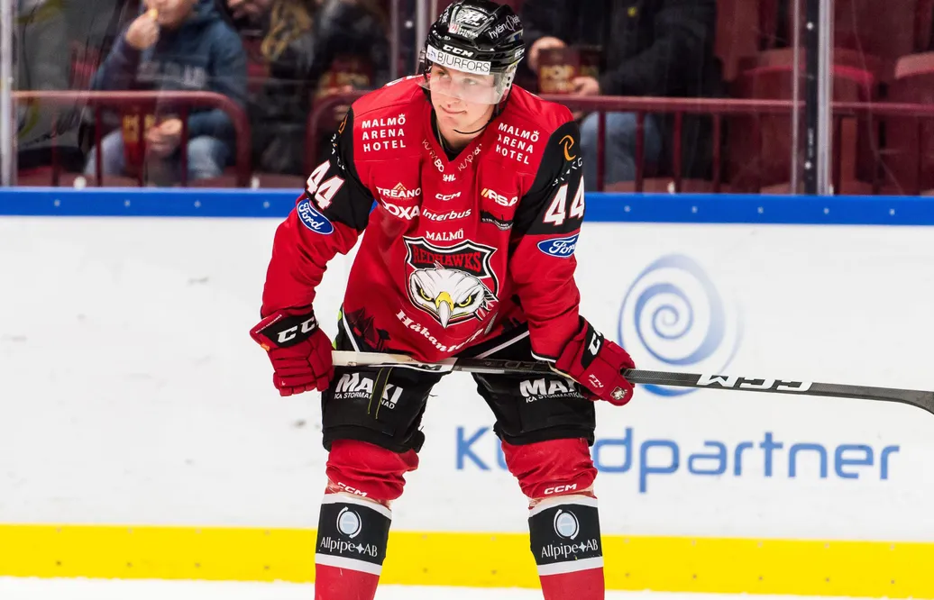 Malmö lånar ut Freddie Larsson till IK Pantern