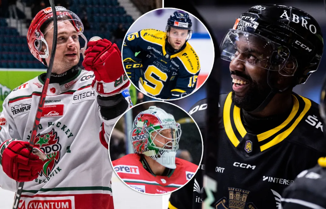 Robin Olausson: HockeyAllsvenskans bästa värvningar från SHL