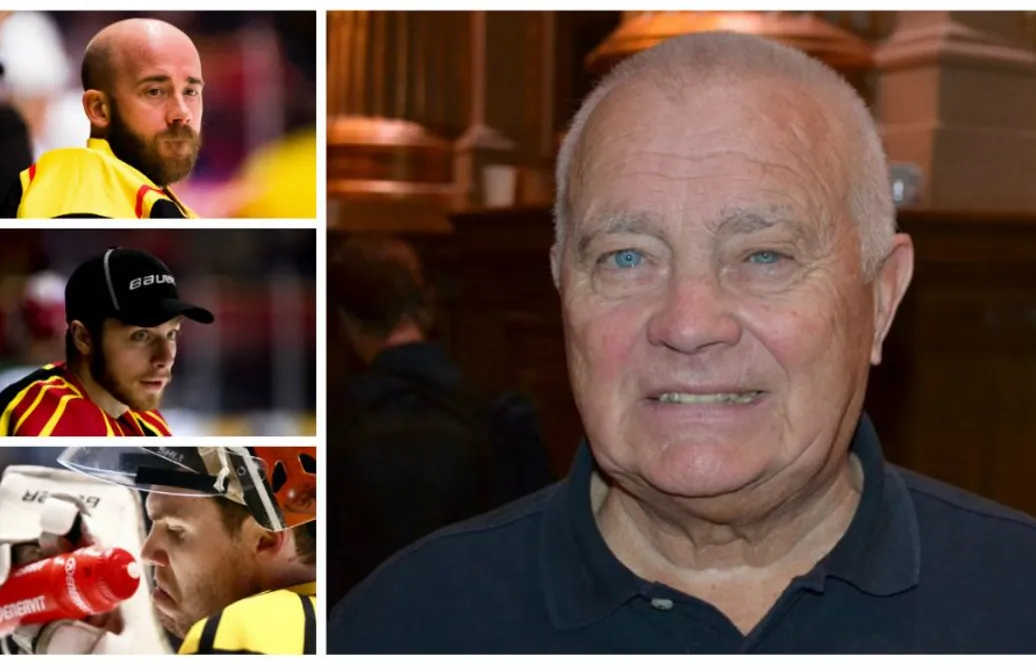 Experten om kaoset i Brynäs: ”Han är precis vad de behöver”