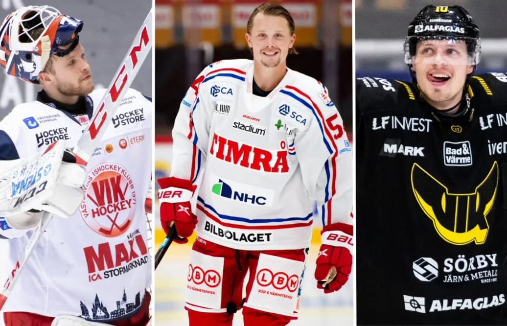 HockeyAllsvenskan i siffror – de har varit bäst
