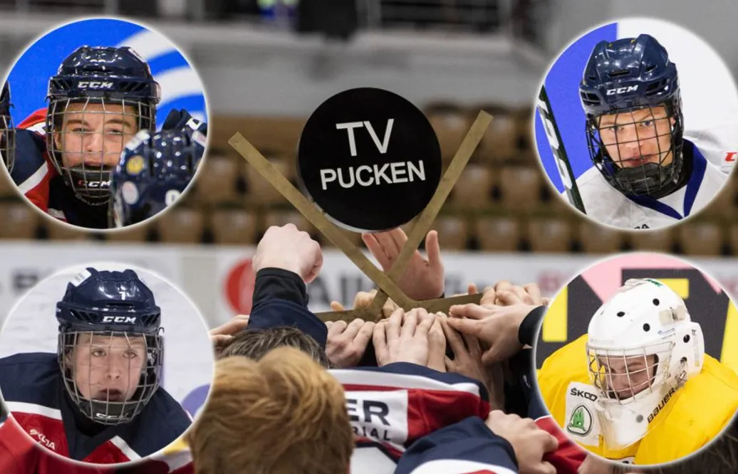 Spelarna som utmärkte sig mest i TV-pucken 2020