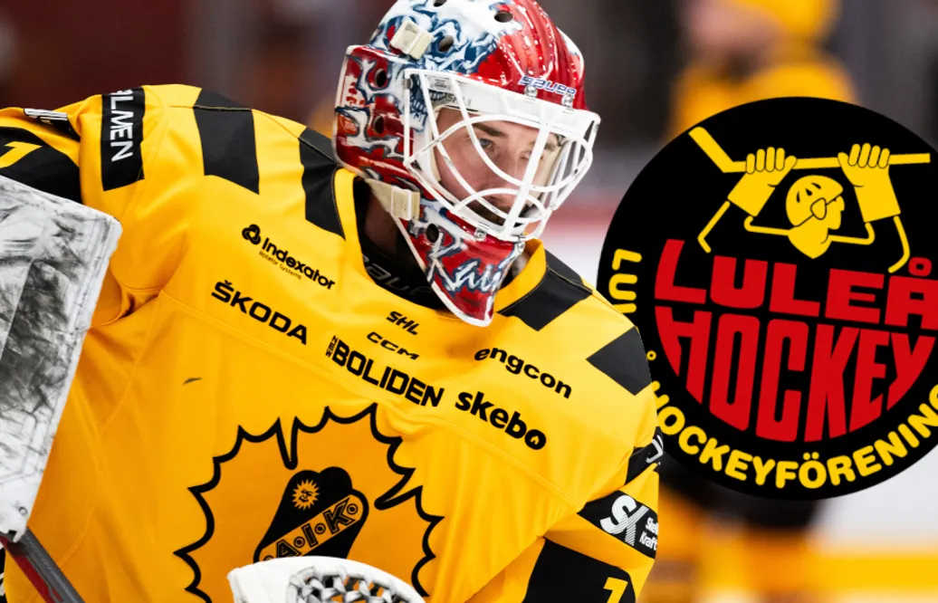 Luleå lånar David Rautio från Skellefteå