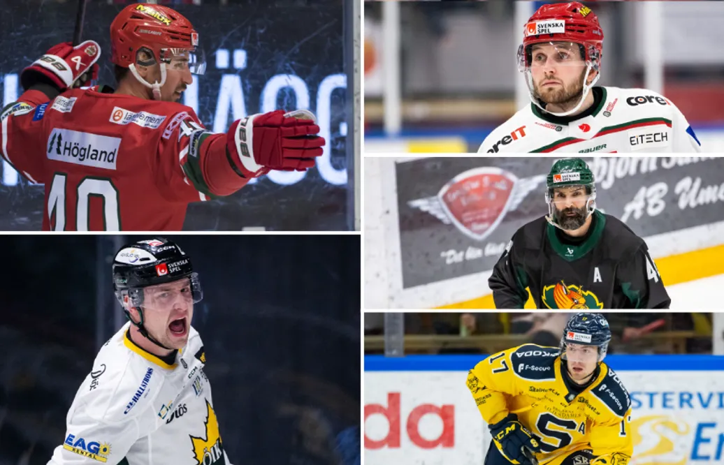De nomineras till Årets Back i HockeyAllsvenskan