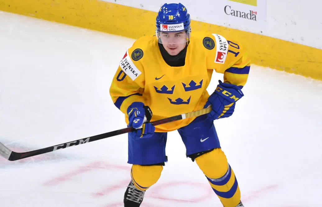 Drömbeskedet: Alexander Holtz med i JVM