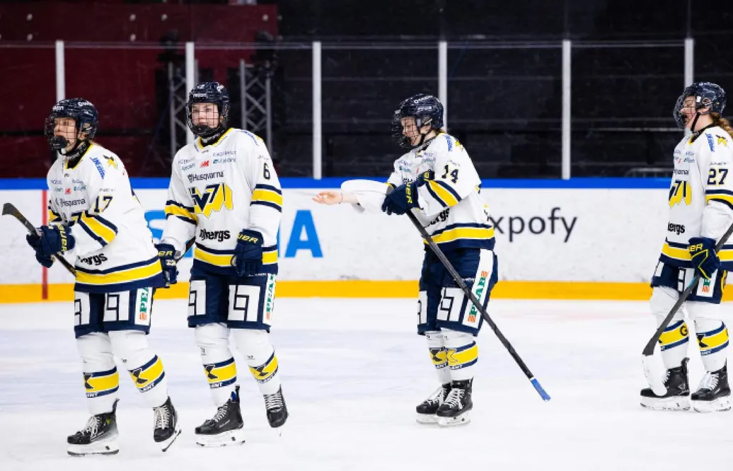 SDE nollade HV 71 – vann med 4–0