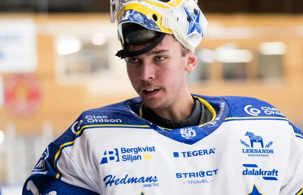 Leksandstalangen hamnade på sjukhus – efter myggattack