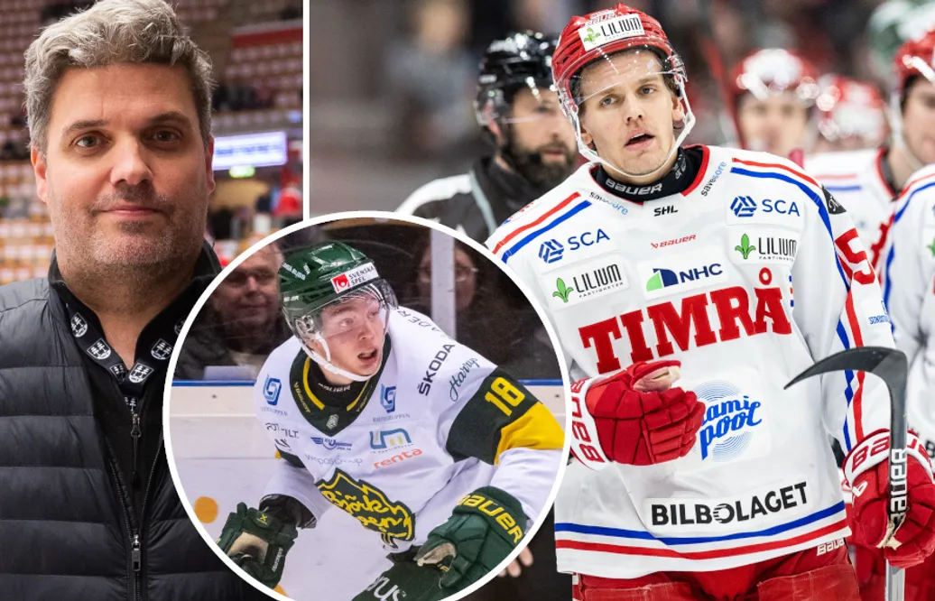 Timrå på spelarjakt – efter Anton Wedins tunga skadebesked