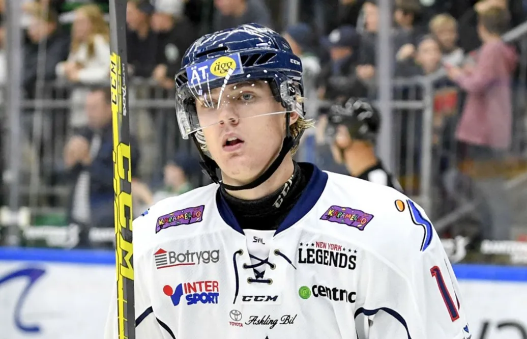 Lånar ut den SHL-meriterade backen till Hockeyettan