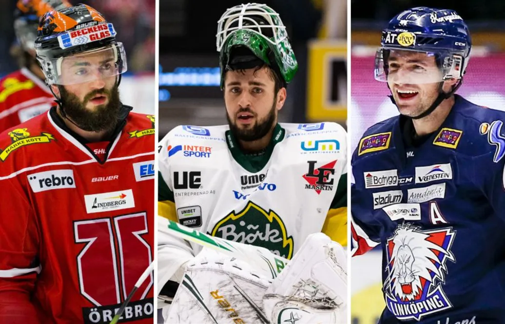 LISTA: Alla importer som spelar i SHL nästa säsong