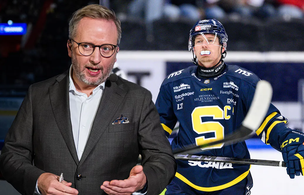 Expertens varning till SSK: "Det ser jag inte"