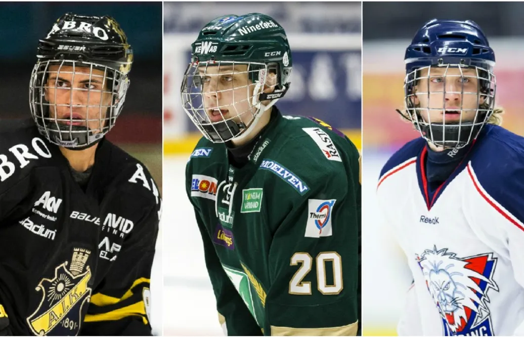 Tre svenskar bland de 30 främsta i TSN:s draftrankning