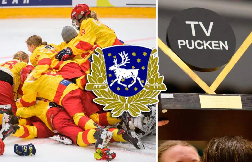 Västerbotten – TV-pucken 2022: Kommentarer om ALLA spelare