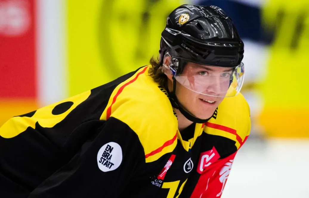 SHL-meriterad forward till Hockeyettan: ”En spelare som vill spela med mycket fart”