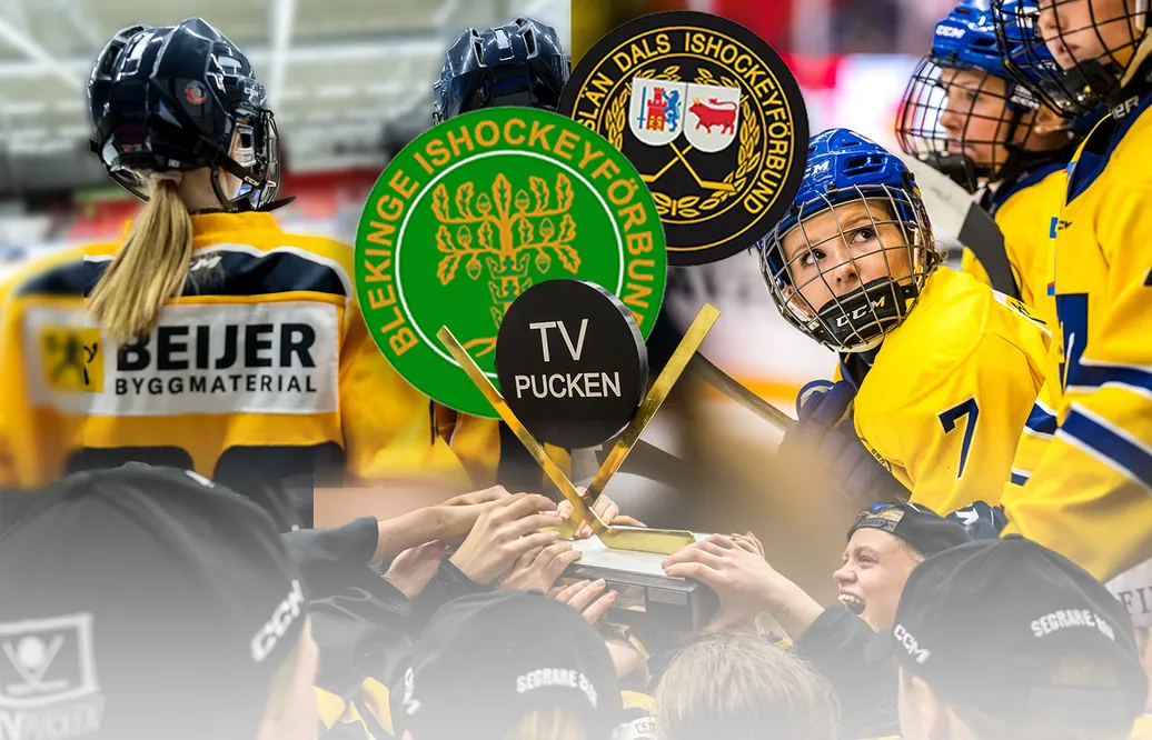 Blekinge/Bohuslän-Dal – kommentarer om ALLA spelare