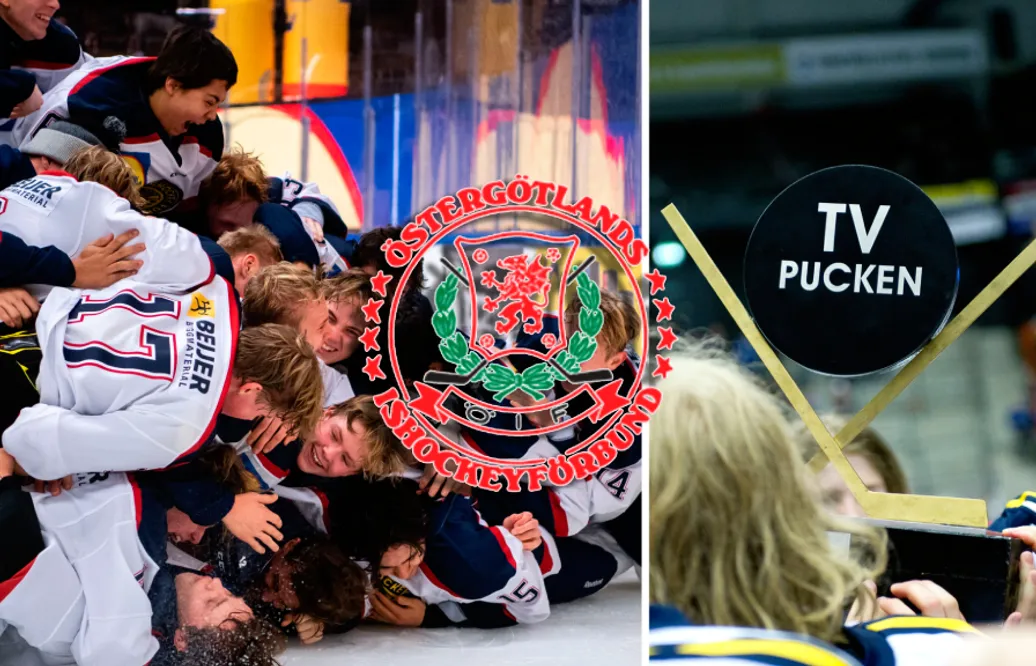 TV-pucken 2022: Östergötland – kommentarer om ALLA spelare